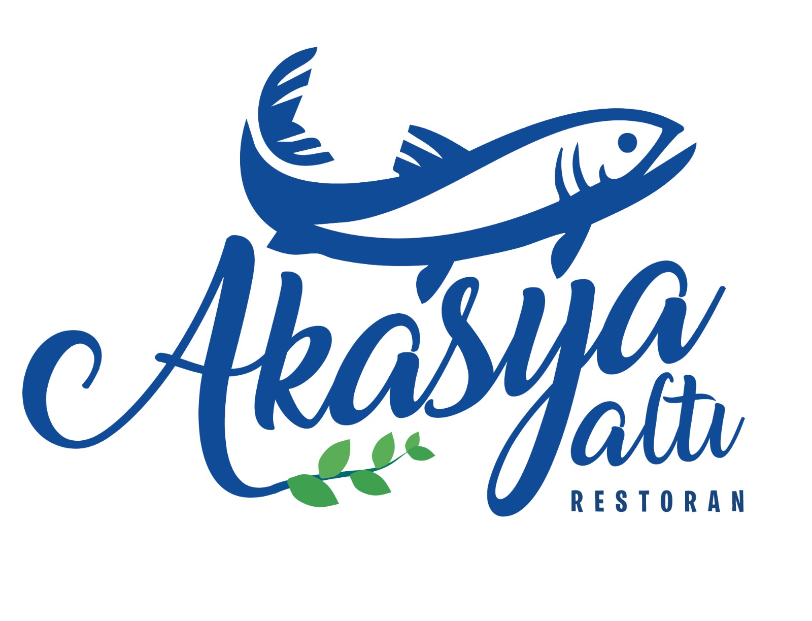 Anasayfa